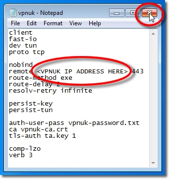 Setting up OpenVPN on Windows 7 - Part 16 - Enter server IP